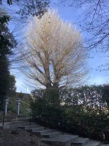 堤治神社の自然