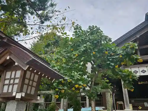 天津神明宮(千葉県)