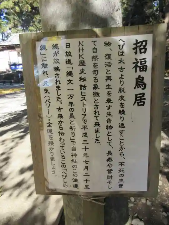 下野 星宮神社の御朱印