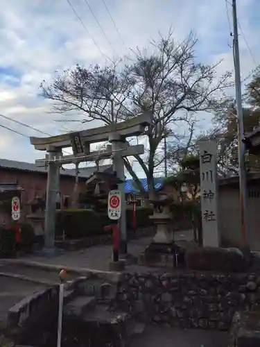 白川神社の鳥居