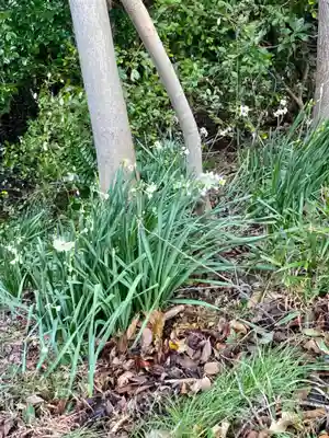 成山毘沙門天(兵庫県)