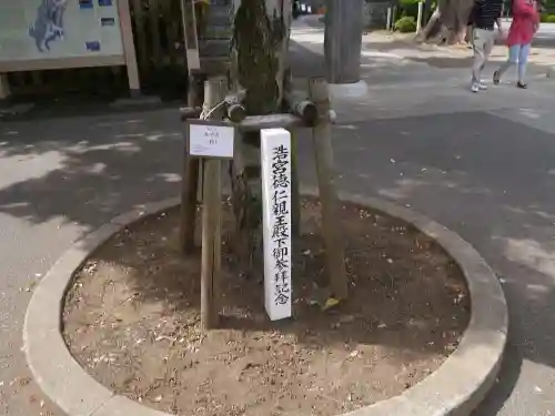 高麗神社の自然
