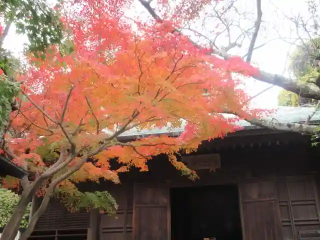 長勝寺(神奈川県)