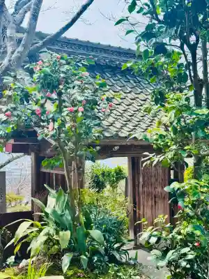 地蔵院の{uncategorized: "未分類", other: "その他", undefined: "問題あり", building: "その他建物", grave: "お墓", sacred_gate: "鳥居", guardian: "狛犬", statue: "像", buddha: "仏像", history: "歴史", nature: "自然", garden: "庭園", animal: "動物", pagoda: "塔", temizu: "手水舎", mountain_gate: "山門・神門", sanctuary: "本殿・本堂", subordinate: "末社・摂社", art: "芸術", scenery: "景色", jizo: "地蔵", ema: "絵馬", goshuin: "御朱印", omikuji: "おみくじ", items: "授与品その他", amulet: "お守り", goshuincho: "御朱印帳", eats: "食事", festival: "お祭り", votive_dance: "神楽", shichigosan: "七五三参", wedding: "結婚式", experience: "体験その他", initially: "初詣", around: "周辺", anti_infection: "感染症対策"}
