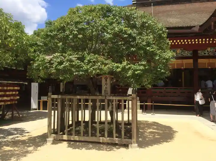 太宰府天満宮の自然