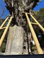 五所神社(神奈川県)