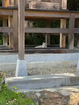 西坂ねこ稲荷神社(福島県)