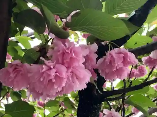 稲荷神社の自然