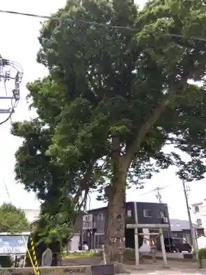 八心大市比古神社(富山県)