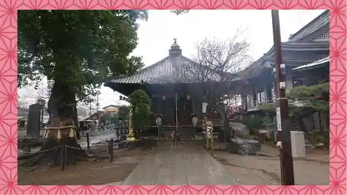龍泉寺（足利厄除大師）(栃木県)