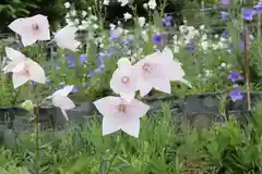 香勝寺の庭園