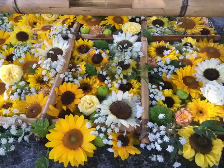 豊平神社の手水舎