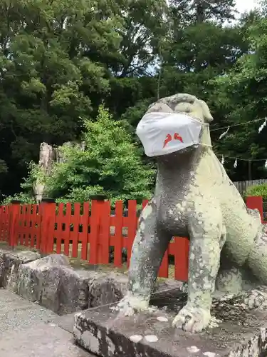 鶴岡八幡宮の狛犬