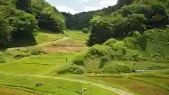 大杉神社の景色