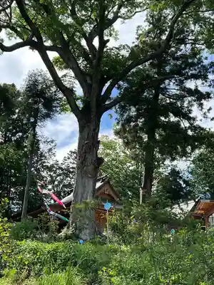 長屋神社(福島県)