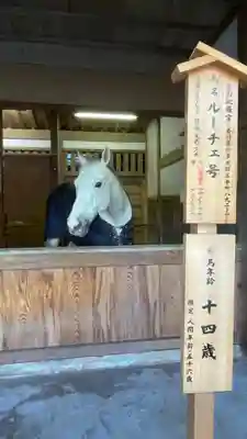 金刀比羅宮(香川県)