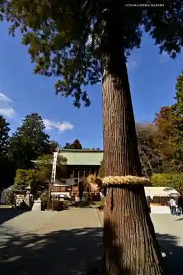 比々多神社(神奈川県)