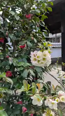 榮春禅寺（栄春寺）(京都府)