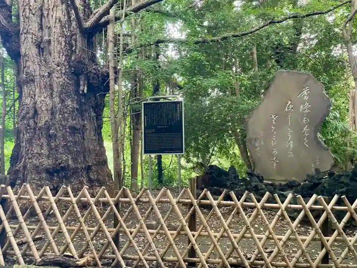 王子神社(東京都)