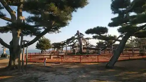 唐崎神社の自然