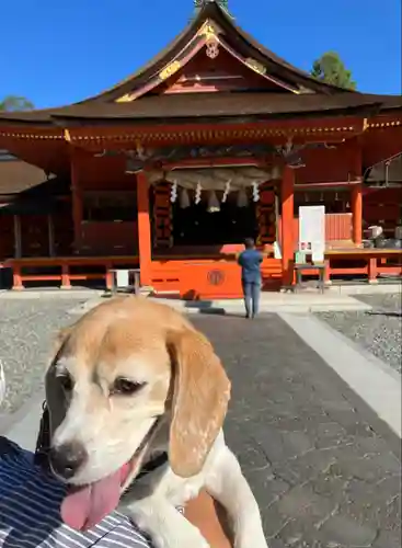 富士山本宮浅間大社(静岡県)