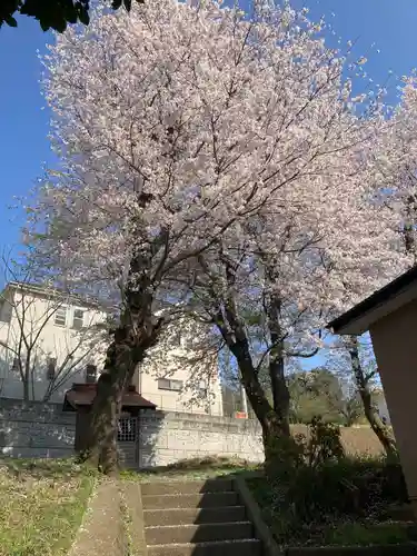 厳島神社(神奈川県)