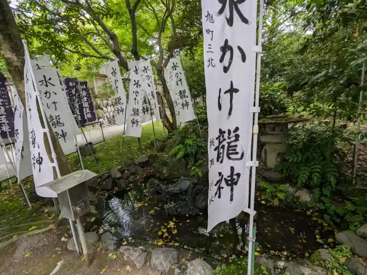 白金龍王社の{uncategorized: "未分類", other: "その他", undefined: "問題あり", building: "その他建物", grave: "お墓", sacred_gate: "鳥居", guardian: "狛犬", statue: "像", buddha: "仏像", history: "歴史", nature: "自然", garden: "庭園", animal: "動物", pagoda: "塔", temizu: "手水舎", mountain_gate: "山門・神門", sanctuary: "本殿・本堂", subordinate: "末社・摂社", art: "芸術", scenery: "景色", jizo: "地蔵", ema: "絵馬", goshuin: "御朱印", omikuji: "おみくじ", items: "授与品その他", amulet: "お守り", goshuincho: "御朱印帳", eats: "食事", festival: "お祭り", votive_dance: "神楽", shichigosan: "七五三参", wedding: "結婚式", experience: "体験その他", initially: "初詣", around: "周辺", anti_infection: "感染症対策"}