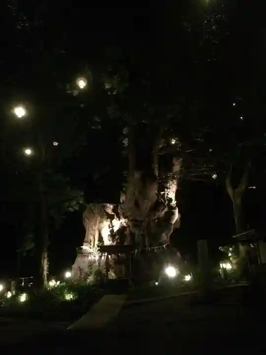 來宮神社(静岡県)