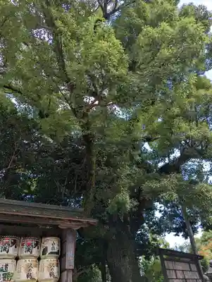 石清水八幡宮(京都府)