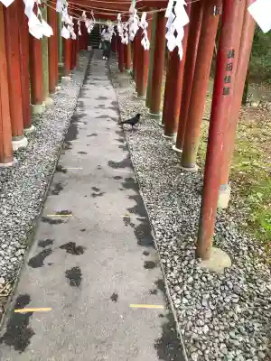 新屋山神社の{uncategorized: "未分類", other: "その他", undefined: "問題あり", building: "その他建物", grave: "お墓", sacred_gate: "鳥居", guardian: "狛犬", statue: "像", buddha: "仏像", history: "歴史", nature: "自然", garden: "庭園", animal: "動物", pagoda: "塔", temizu: "手水舎", mountain_gate: "山門・神門", sanctuary: "本殿・本堂", subordinate: "末社・摂社", art: "芸術", scenery: "景色", jizo: "地蔵", ema: "絵馬", goshuin: "御朱印", omikuji: "おみくじ", items: "授与品その他", amulet: "お守り", goshuincho: "御朱印帳", eats: "食事", festival: "お祭り", votive_dance: "神楽", shichigosan: "七五三参", wedding: "結婚式", experience: "体験その他", initially: "初詣", around: "周辺", anti_infection: "感染症対策"}