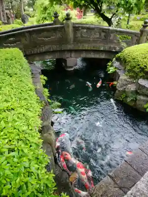 浅草寺(東京都)