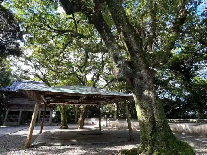 最御崎寺(高知県)