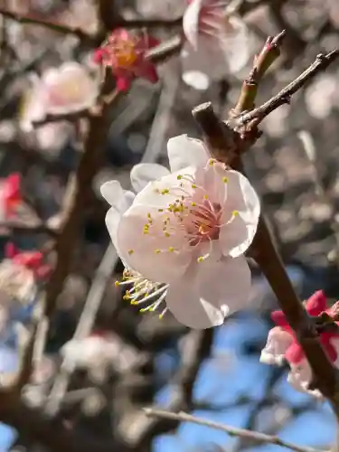 成願寺の{uncategorized: "未分類", other: "その他", undefined: "問題あり", building: "その他建物", grave: "お墓", sacred_gate: "鳥居", guardian: "狛犬", statue: "像", buddha: "仏像", history: "歴史", nature: "自然", garden: "庭園", animal: "動物", pagoda: "塔", temizu: "手水舎", mountain_gate: "山門・神門", sanctuary: "本殿・本堂", subordinate: "末社・摂社", art: "芸術", scenery: "景色", jizo: "地蔵", ema: "絵馬", goshuin: "御朱印", omikuji: "おみくじ", items: "授与品その他", amulet: "お守り", goshuincho: "御朱印帳", eats: "食事", festival: "お祭り", votive_dance: "神楽", shichigosan: "七五三参", wedding: "結婚式", experience: "体験その他", initially: "初詣", around: "周辺", anti_infection: "感染症対策"}