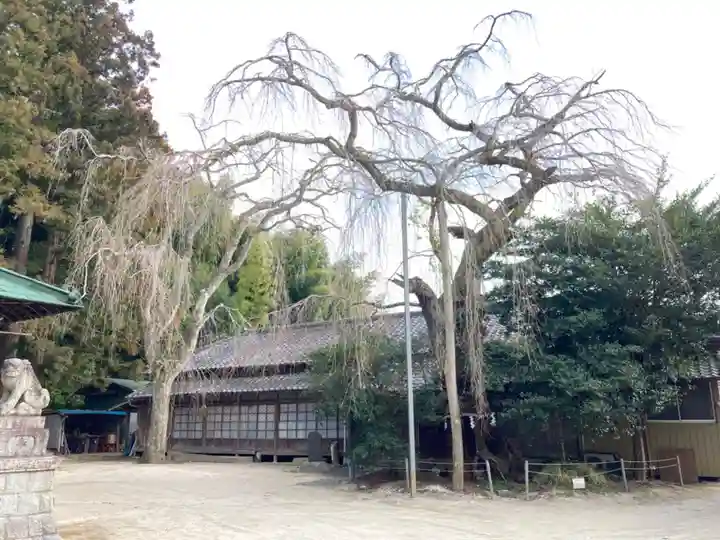 八坂神社(茨城県)