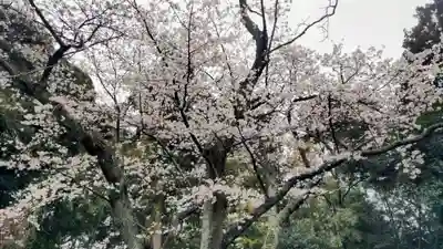 竹内神社(千葉県)