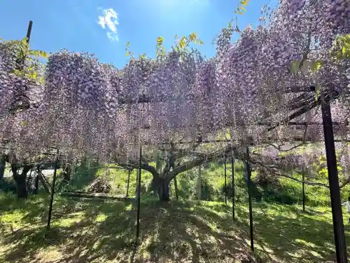 天台宗 五大山 白毫寺(兵庫県)