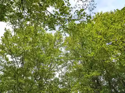 空気神社(山形県)