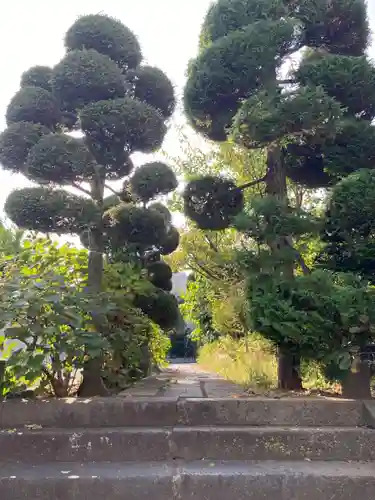 蟠龍寺(東京都)