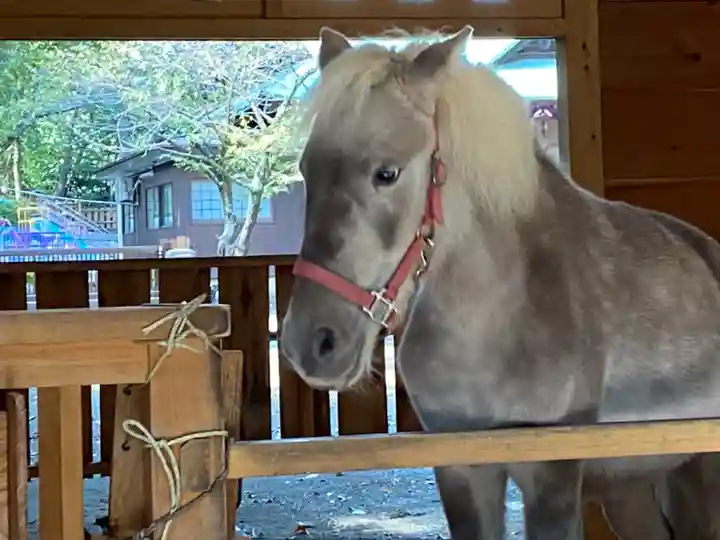 平塚八幡宮(神奈川県)