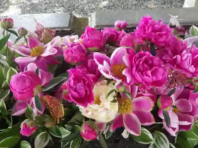 西宮八幡宮(山口県)