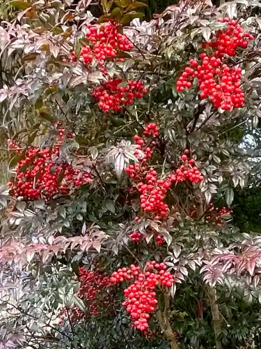 岩戸別神社の{uncategorized: "未分類", other: "その他", undefined: "問題あり", building: "その他建物", grave: "お墓", sacred_gate: "鳥居", guardian: "狛犬", statue: "像", buddha: "仏像", history: "歴史", nature: "自然", garden: "庭園", animal: "動物", pagoda: "塔", temizu: "手水舎", mountain_gate: "山門・神門", sanctuary: "本殿・本堂", subordinate: "末社・摂社", art: "芸術", scenery: "景色", jizo: "地蔵", ema: "絵馬", goshuin: "御朱印", omikuji: "おみくじ", items: "授与品その他", amulet: "お守り", goshuincho: "御朱印帳", eats: "食事", festival: "お祭り", votive_dance: "神楽", shichigosan: "七五三参", wedding: "結婚式", experience: "体験その他", initially: "初詣", around: "周辺", anti_infection: "感染症対策"}