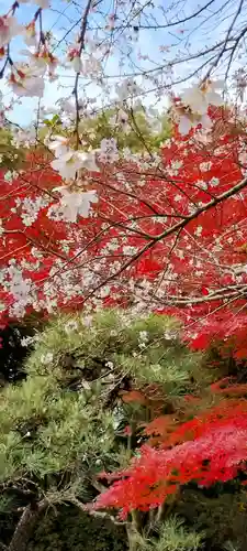 熱田神宮(愛知県)