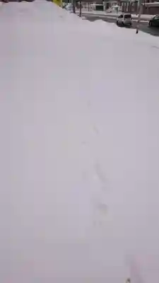 星置神社の周辺