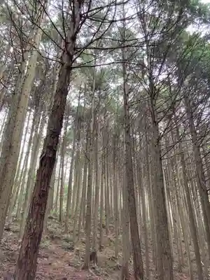 河上神社の周辺