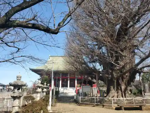 千葉寺の{uncategorized: "未分類", other: "その他", undefined: "問題あり", building: "その他建物", grave: "お墓", sacred_gate: "鳥居", guardian: "狛犬", statue: "像", buddha: "仏像", history: "歴史", nature: "自然", garden: "庭園", animal: "動物", pagoda: "塔", temizu: "手水舎", mountain_gate: "山門・神門", sanctuary: "本殿・本堂", subordinate: "末社・摂社", art: "芸術", scenery: "景色", jizo: "地蔵", ema: "絵馬", goshuin: "御朱印", omikuji: "おみくじ", items: "授与品その他", amulet: "お守り", goshuincho: "御朱印帳", eats: "食事", festival: "お祭り", votive_dance: "神楽", shichigosan: "七五三参", wedding: "結婚式", experience: "体験その他", initially: "初詣", around: "周辺", anti_infection: "感染症対策"}