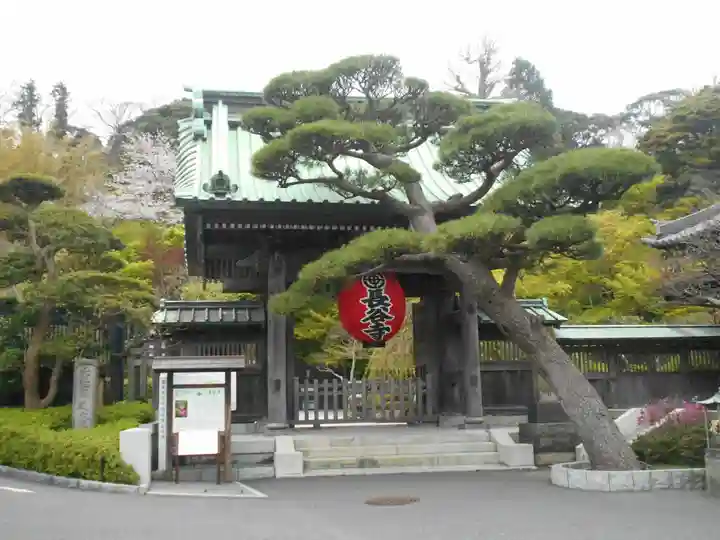長谷寺の山門・神門