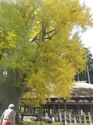 新宮熊野神社の本殿・本堂