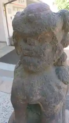 高輪神社の狛犬