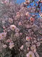 百品神社(群馬県)