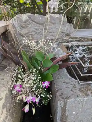姫路神社(兵庫県)